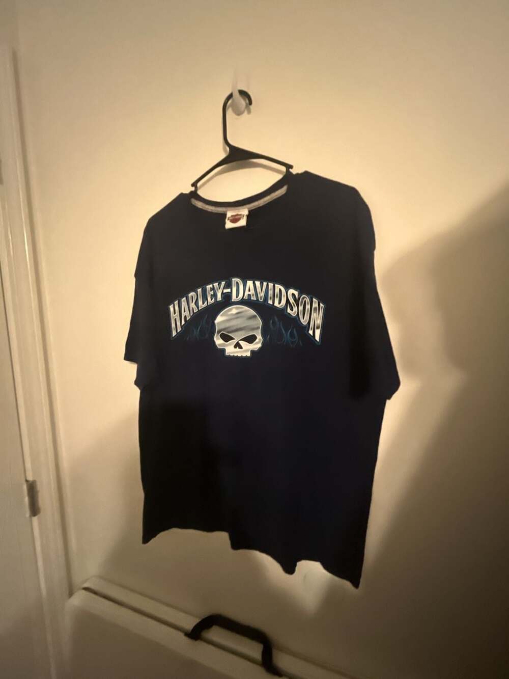 Harley-Davidson Smoky Mountain Pigeon Forge TN Skull Graphic T-Shirt